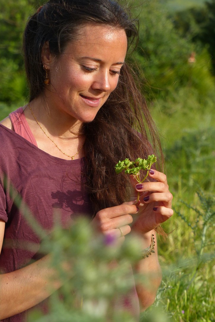 🌿 Erwachen der Lebenskraft: Yoga & Wildkräuter Workshop