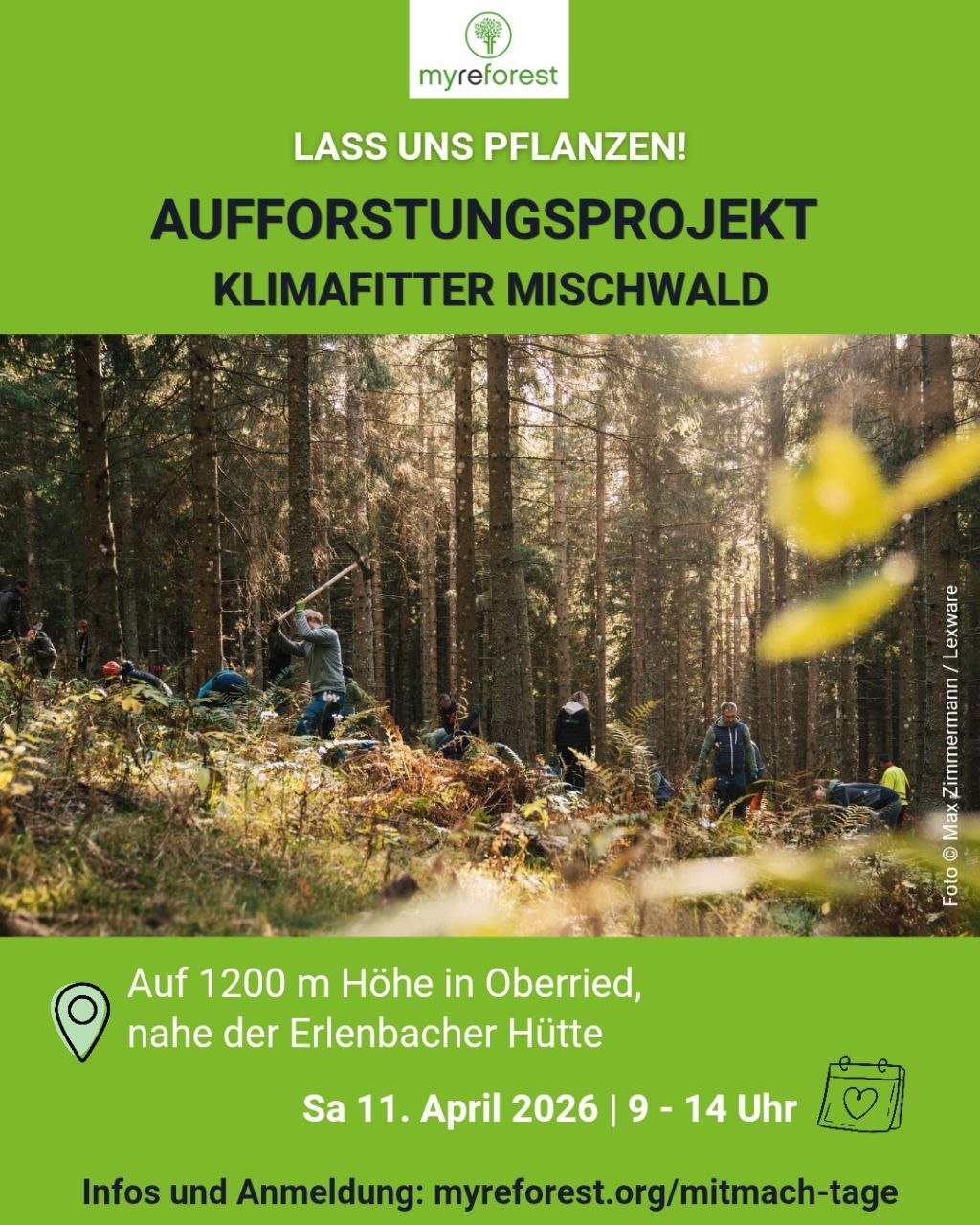 LASS UNS PFLANZEN! Mischwald pflanzen im Dreisamtal