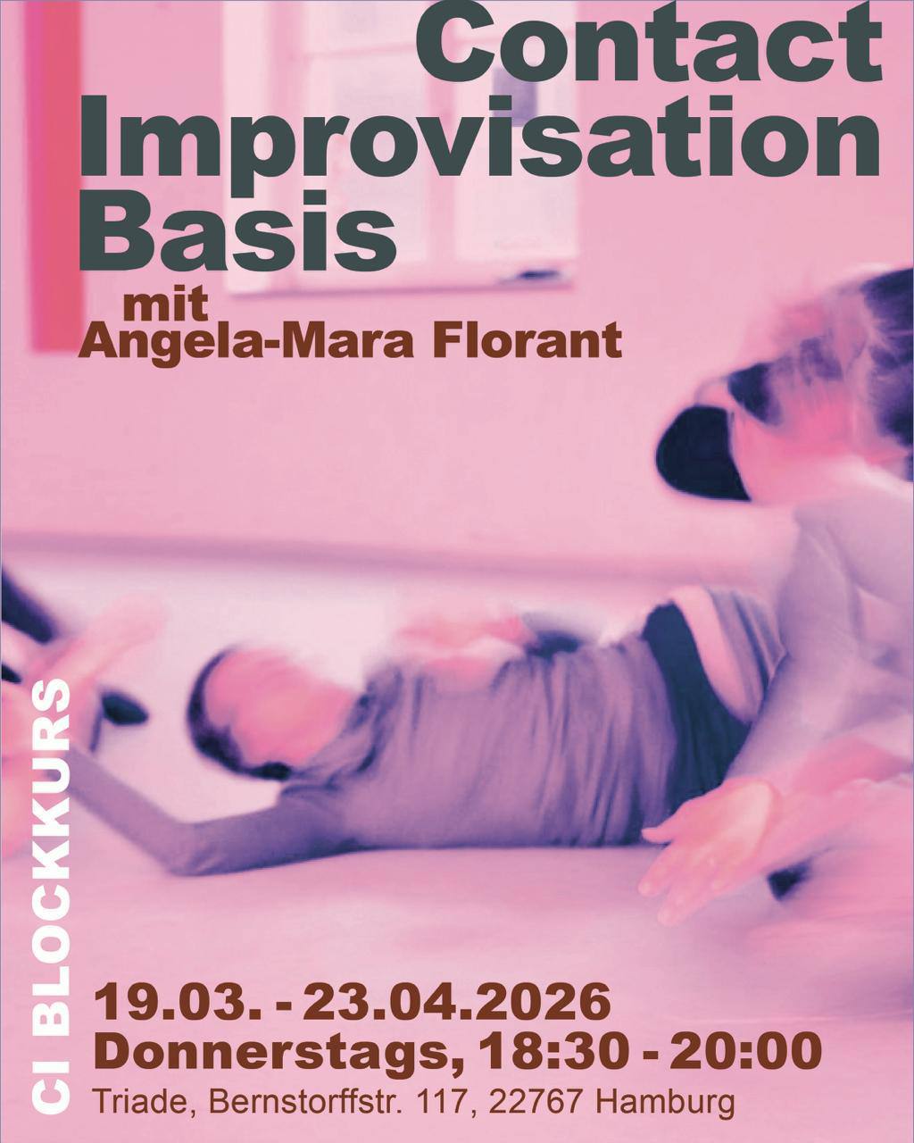 Contact Improvisation Basis Blockkurs
