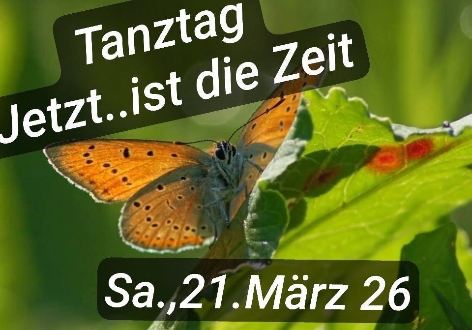 TanzSEIN Tanztag