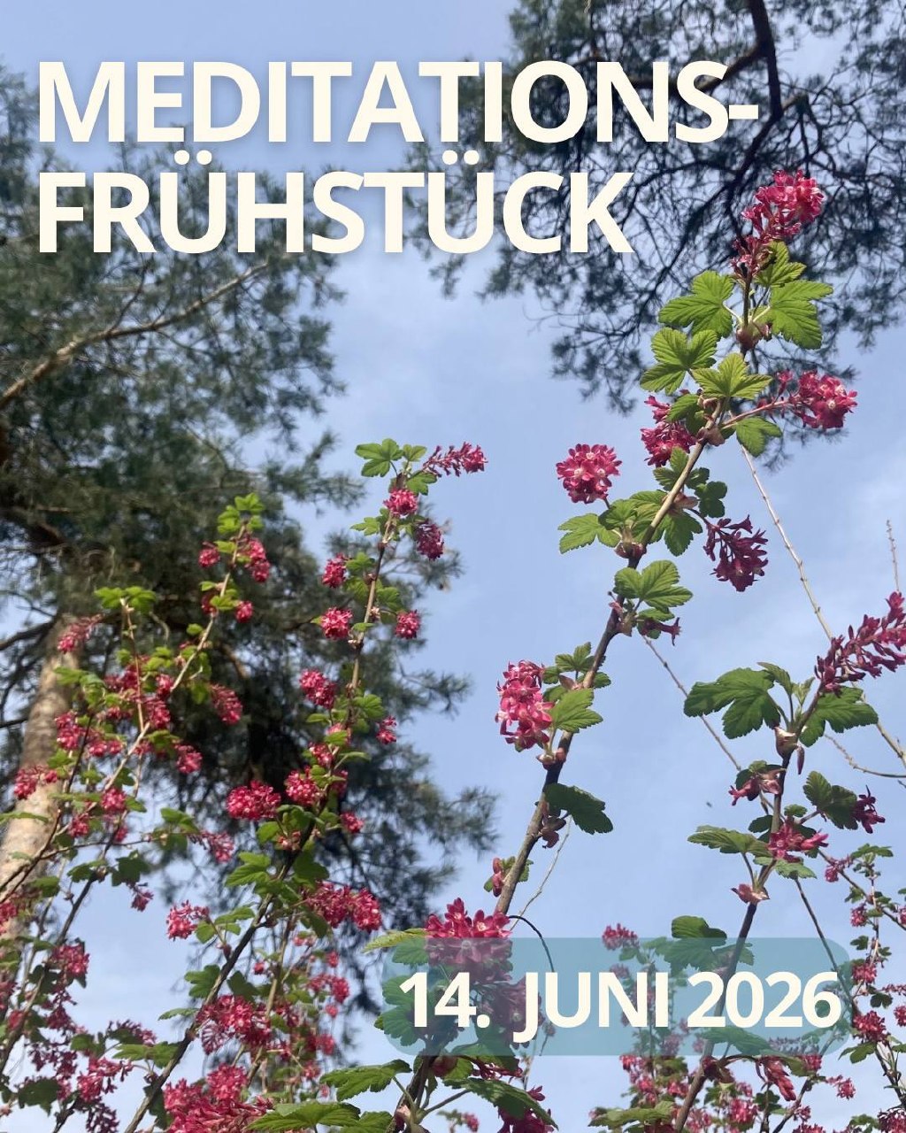 MEDITATIONS-FRÜHSTÜCK