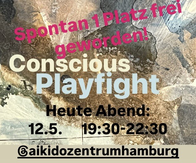 Conscious Playfight