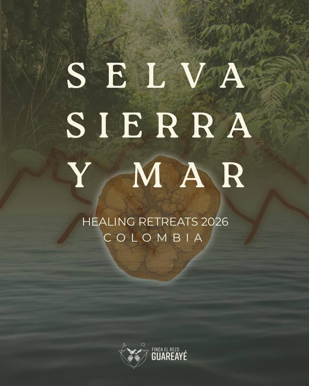 Selva · Sierra · Mar Healing Retreats 2026 Colombia