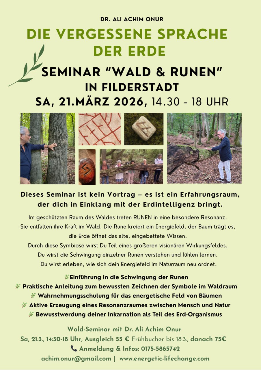 Seminar „WALD & Runen“