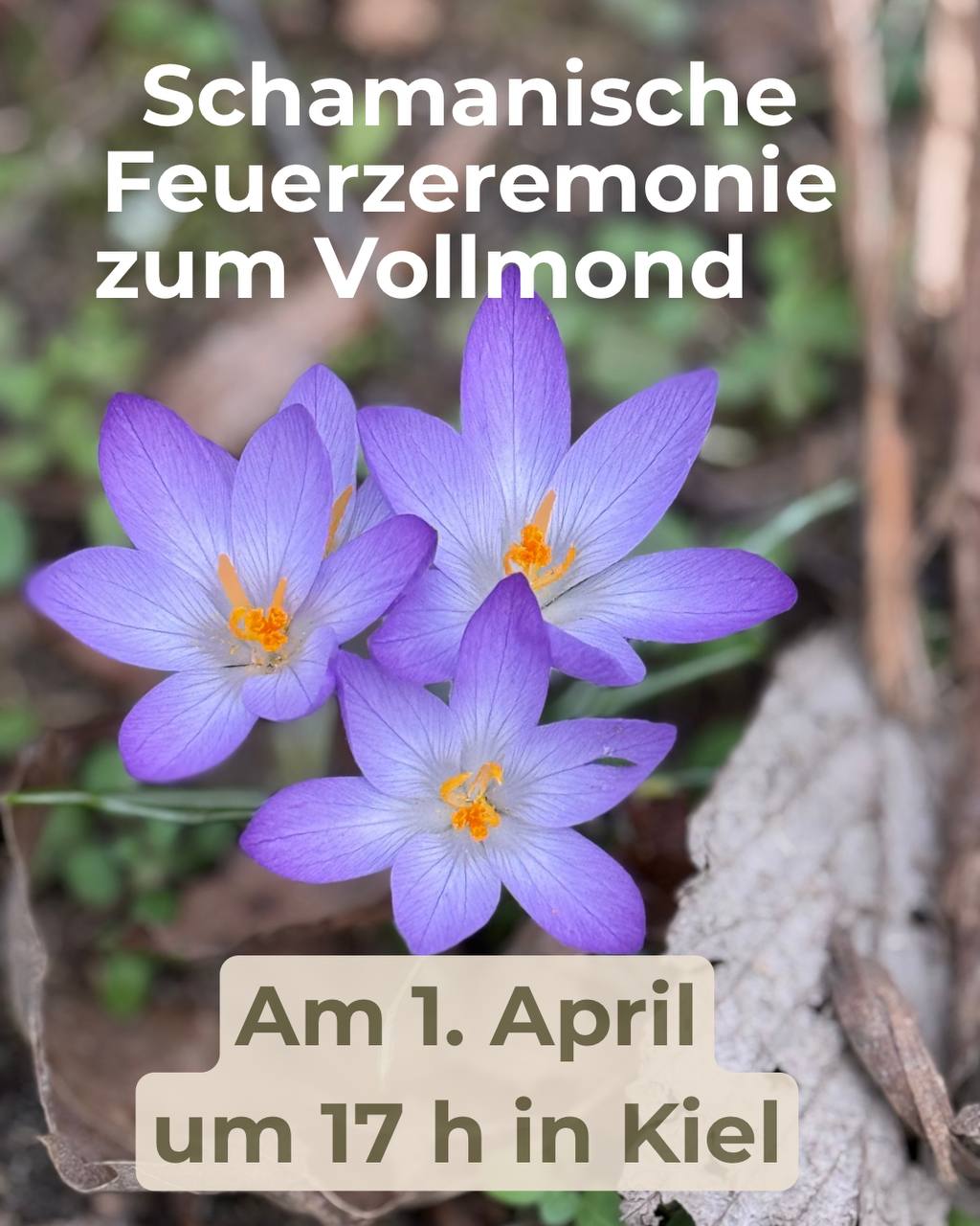 Schamanische Feuerzeremonie zum Vollmond