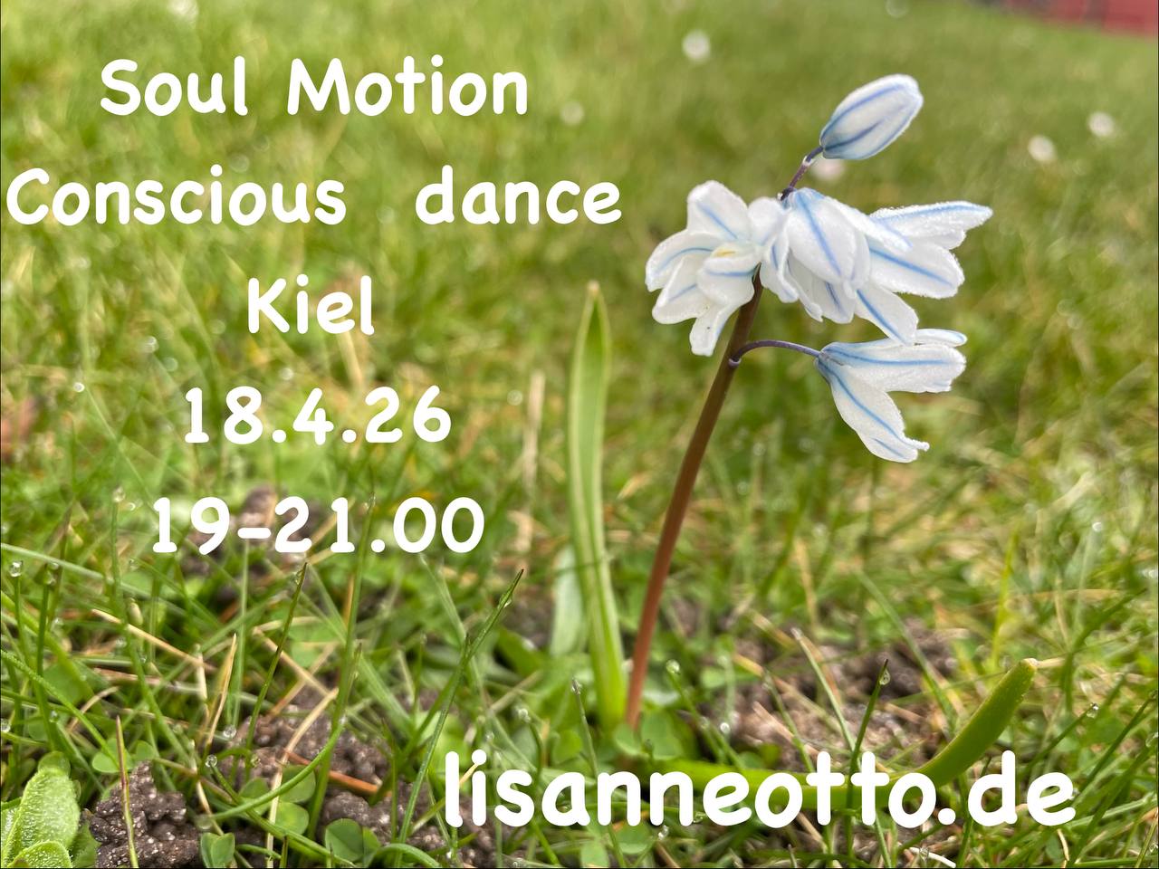 Soul Motion – Conscious Dance