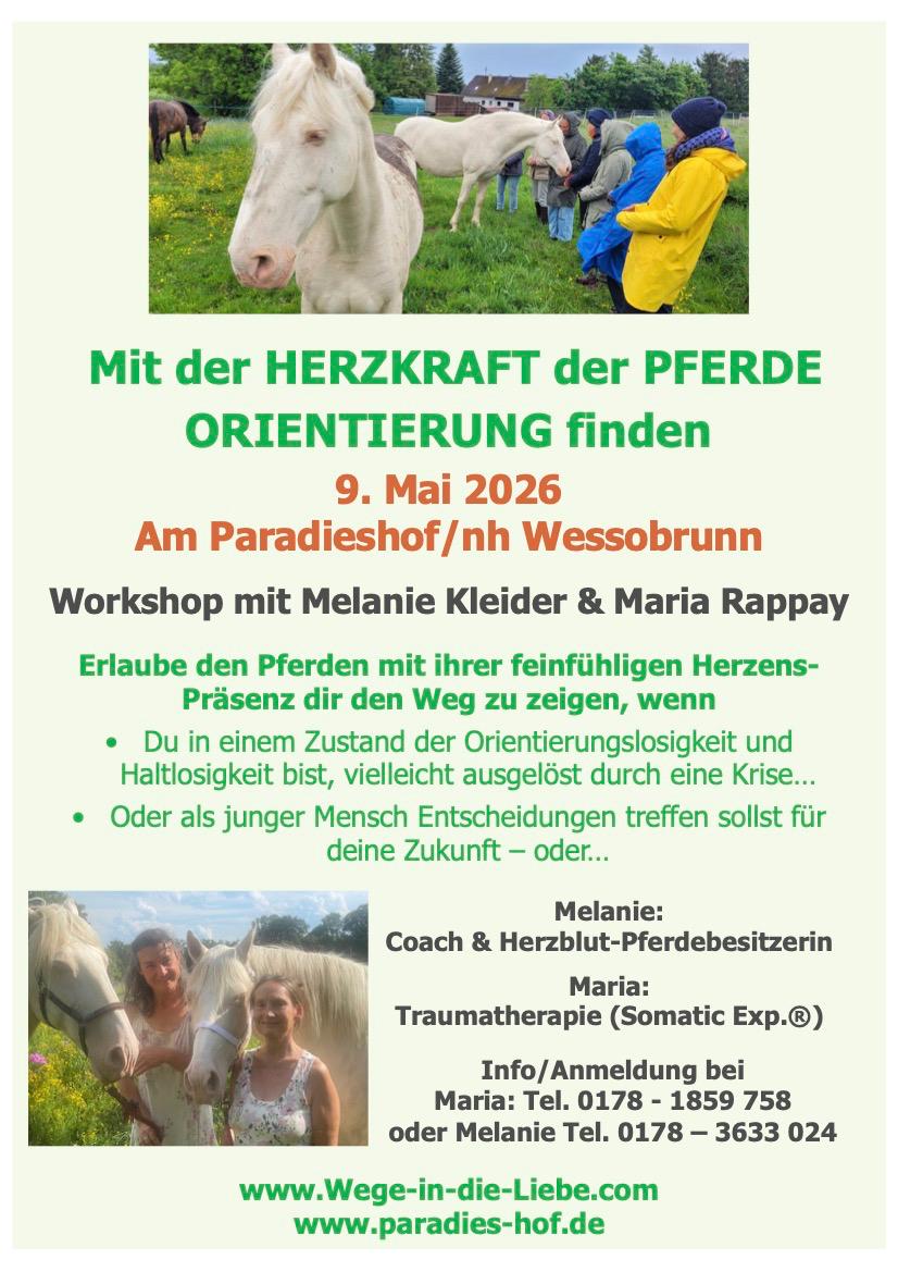 Mit der HERZKRAFT der PFERDE - ORIENTIERUNG finden