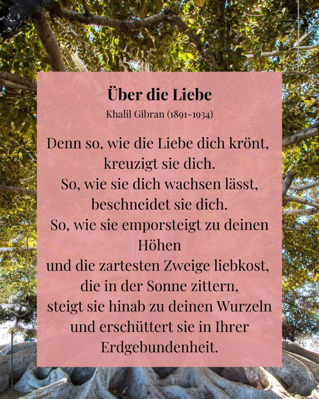 Ich geh meinen Weg und Du Deinen - Eine Paarbeziehung oder ehemalige Paarbeziehung klären