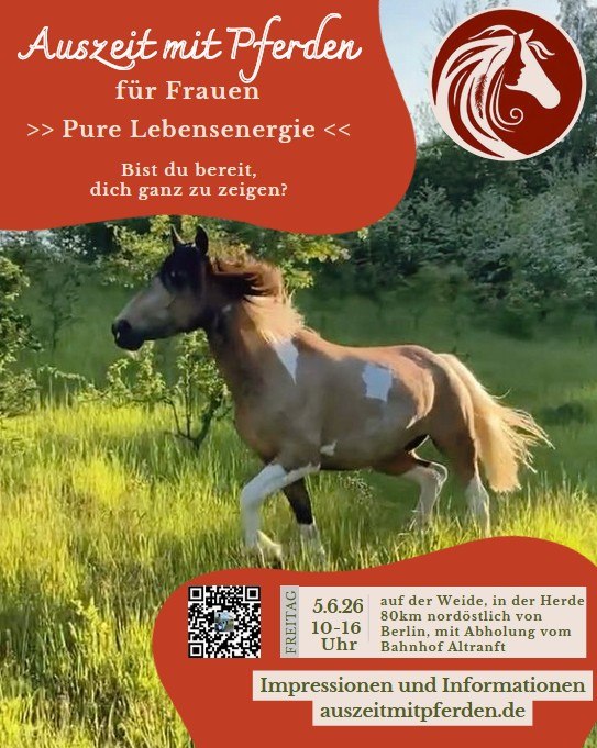 Pure Lebensenergie für Frauen mit Pferden