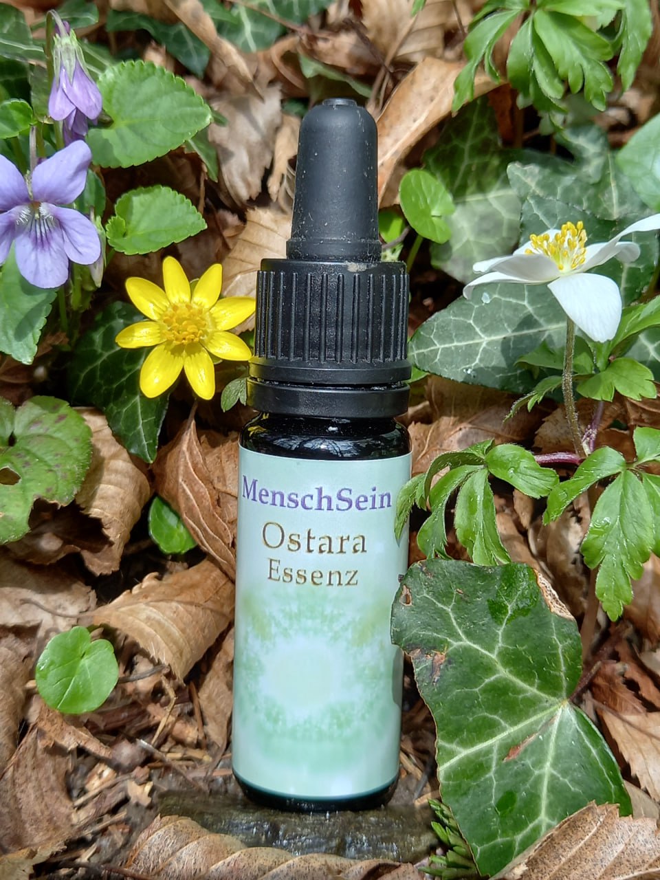 Kostenfreier Online-Abend: Ostara-Essenz