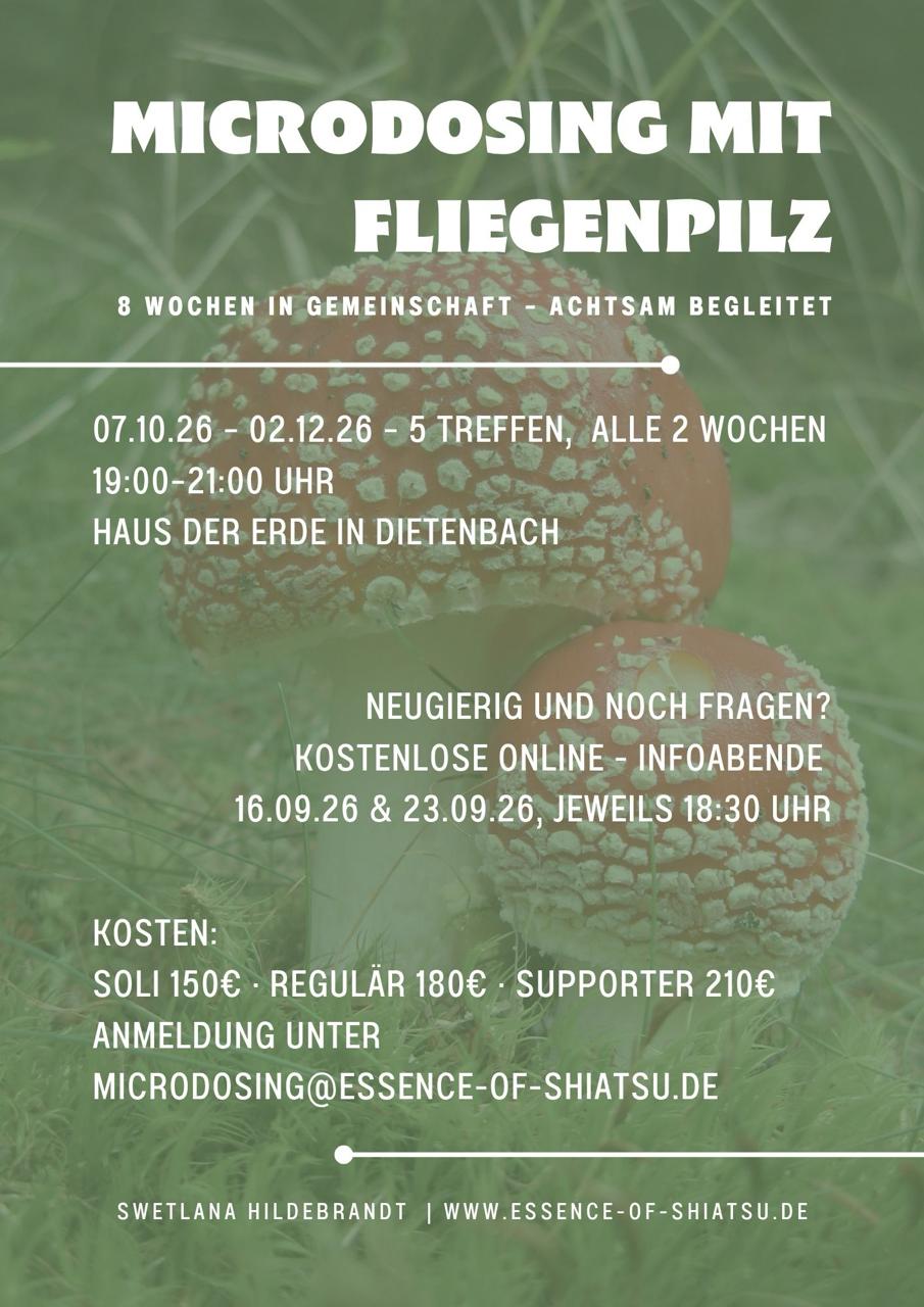 Microdosing mit Fliegenpilz - 8-Wochen-Kurs