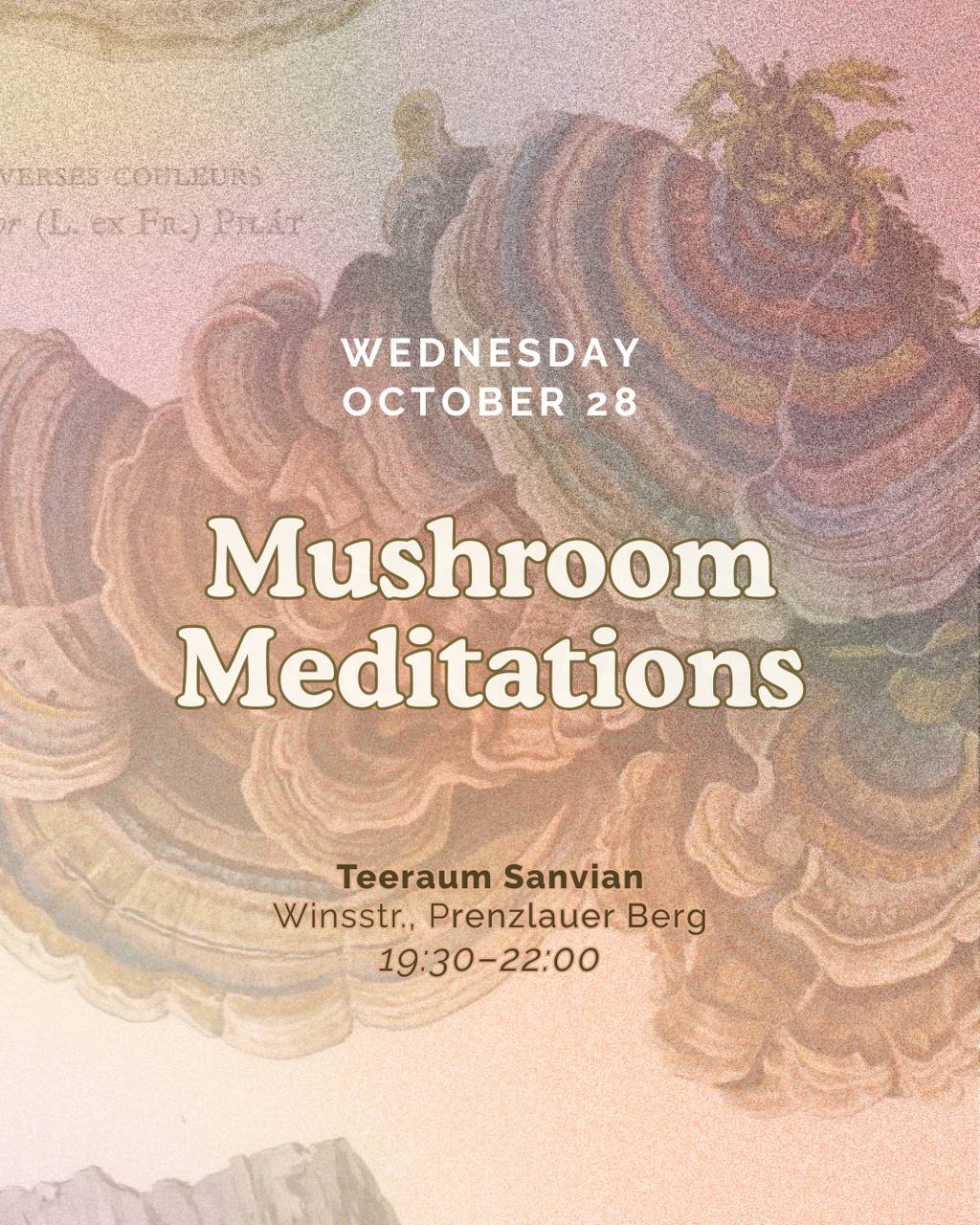 Mushroom Meditations