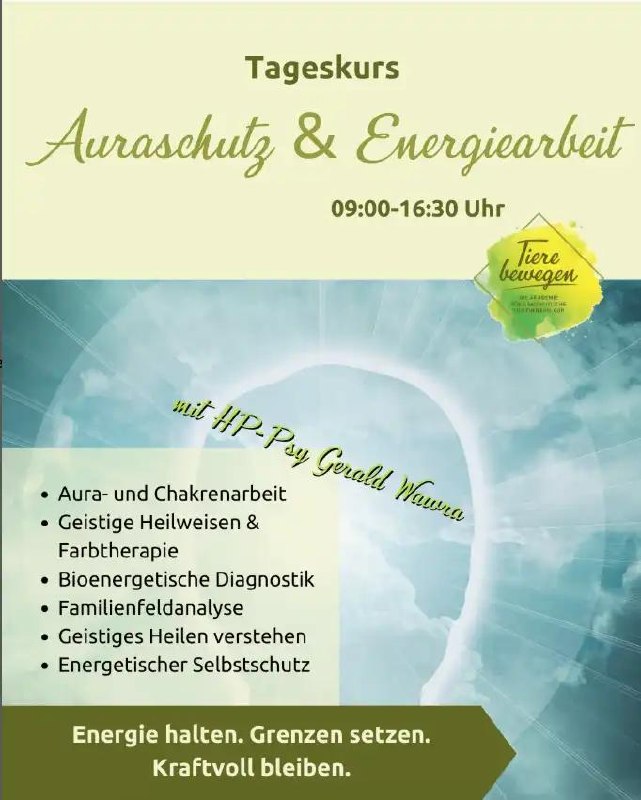 Seminar Auradiagnose und Energiearbeit