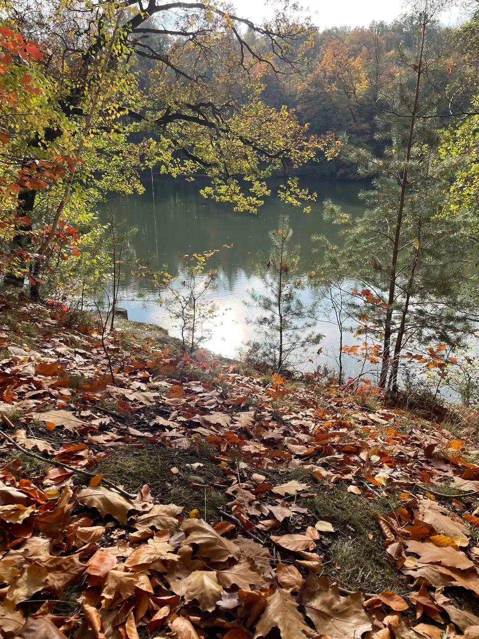 Seminar im geomantischen Jahreskreis Herbst – Element Wasser