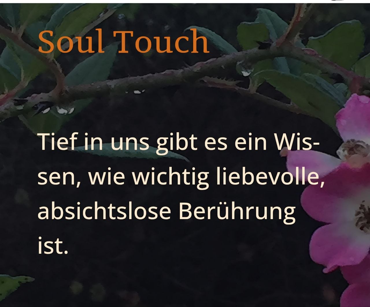 Seminar Soul Touch