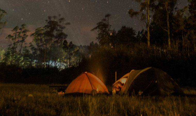 Single-Wanderung mit Candle-Light-Picknick – Schallstadt