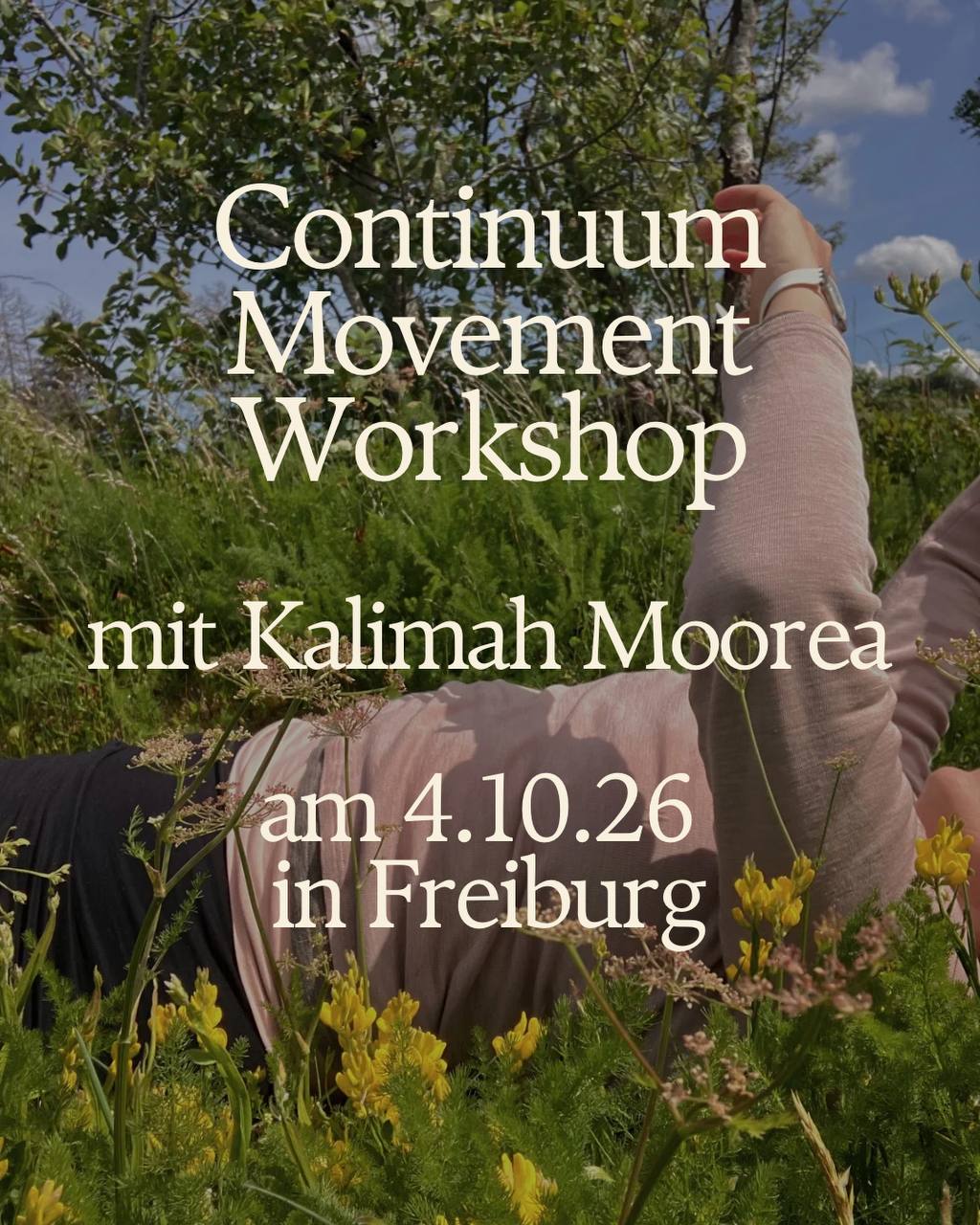 Continuum Movement Workshop
