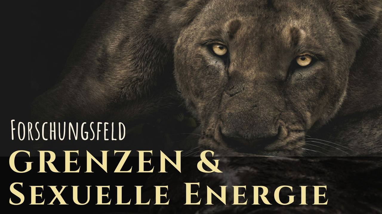 Forschungsfeld "Grenzen & Sexuelle Energie"
