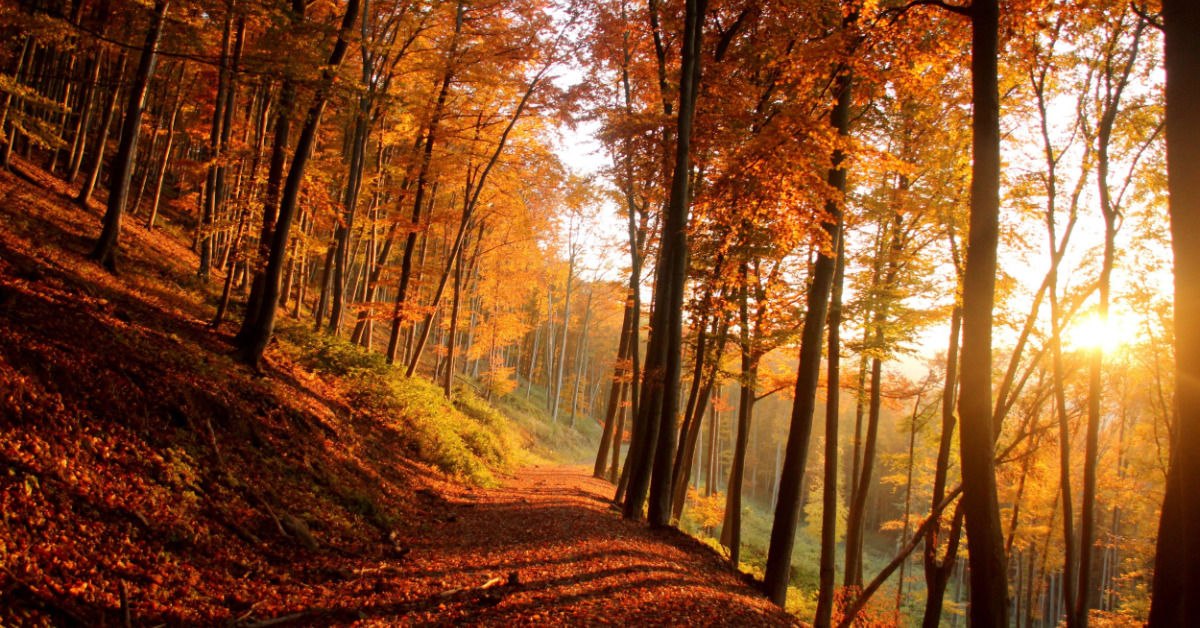 Celebrate the Autumn Equinox With Us