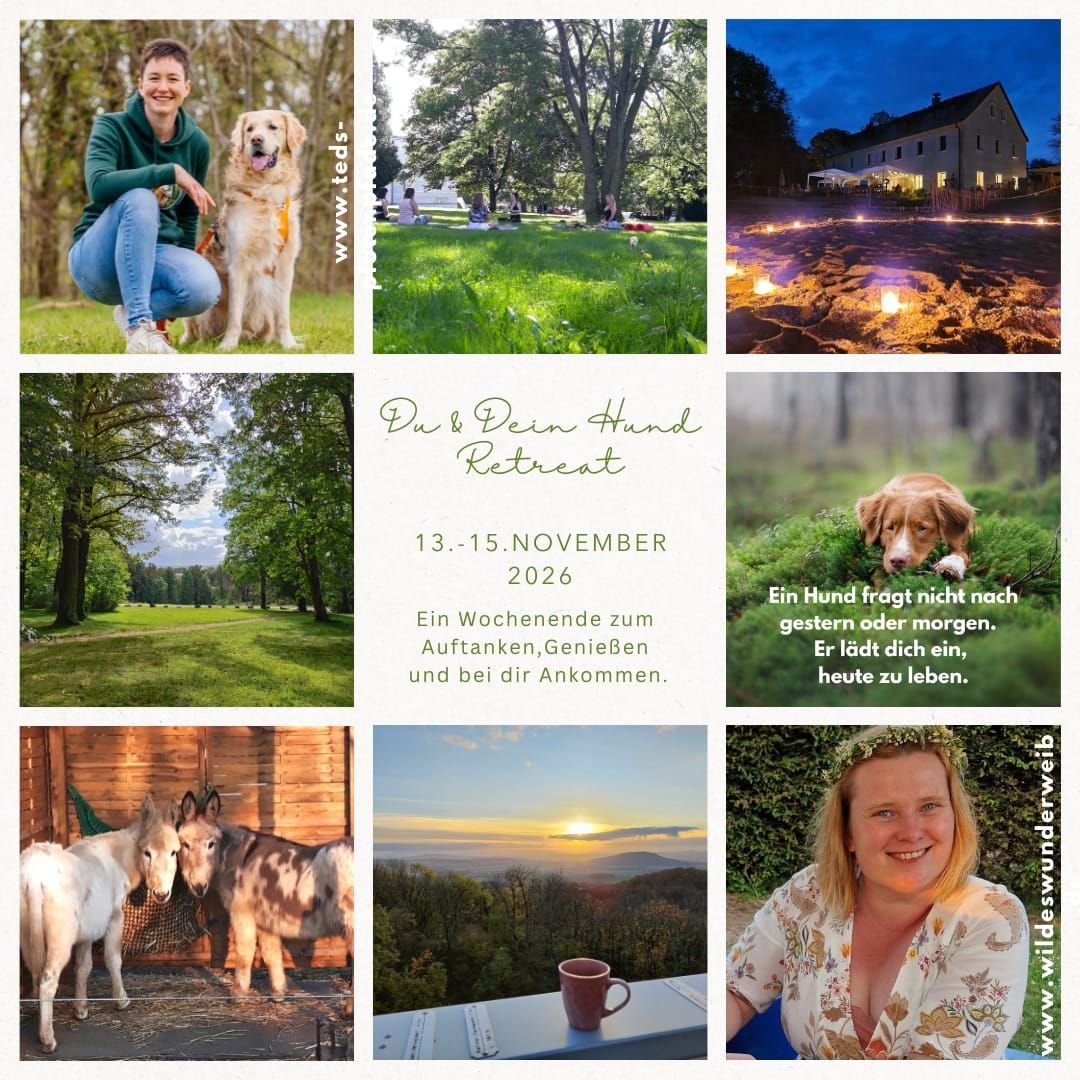 Retreat: Du und dein Hund