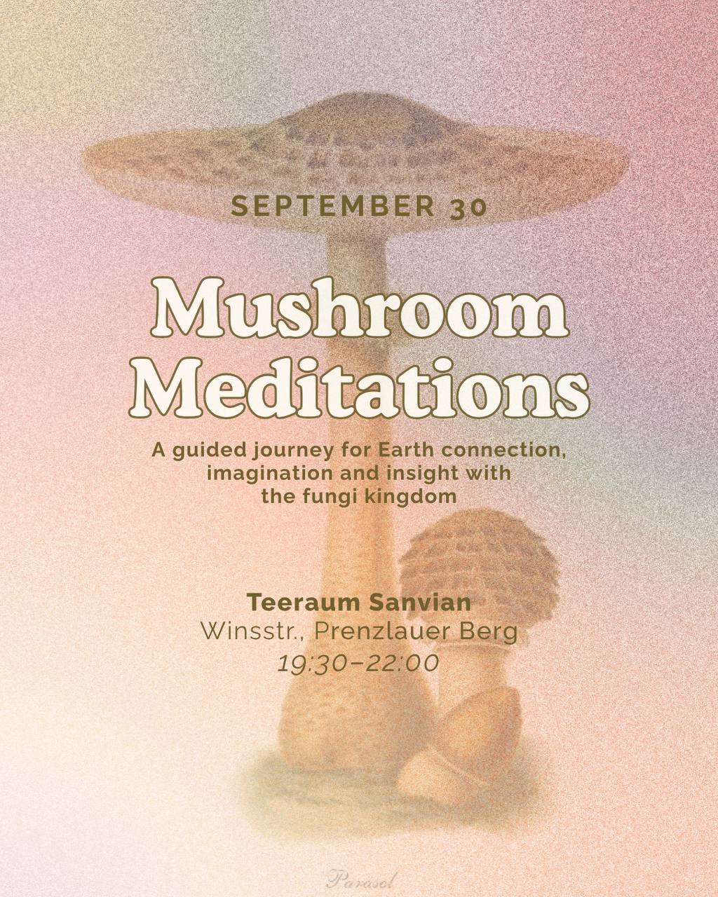 Mushroom Meditations